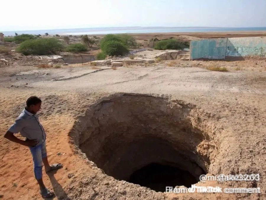 Black sheep tweet media