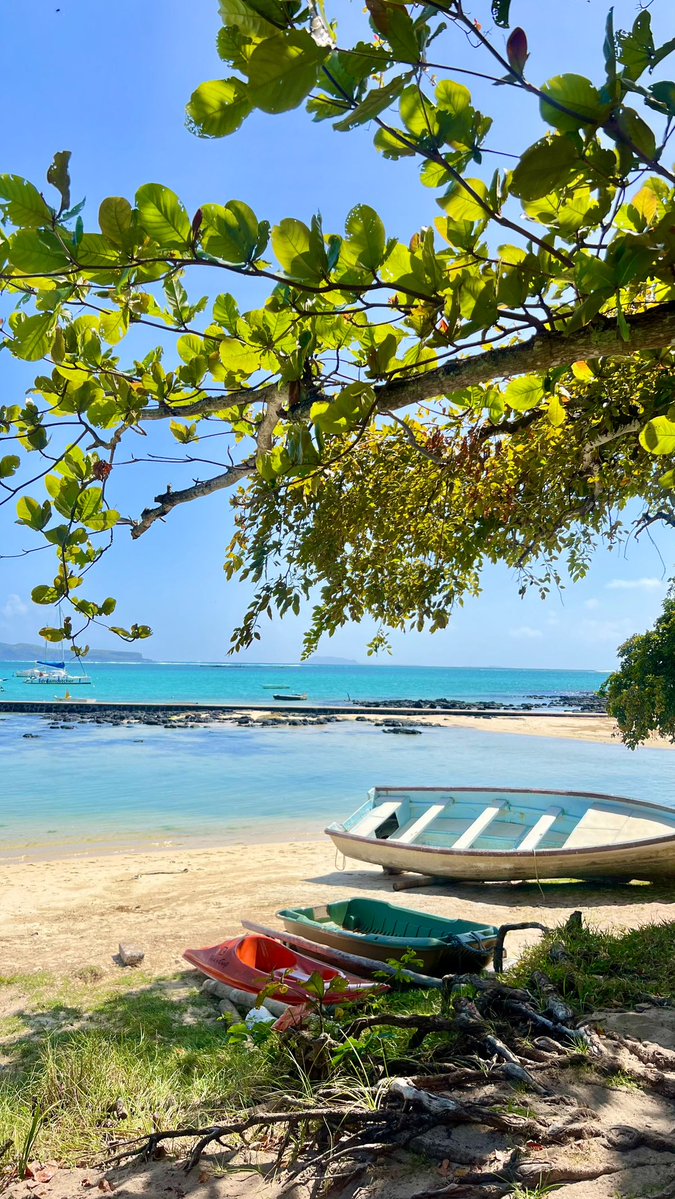 Mauritius Island tweet media