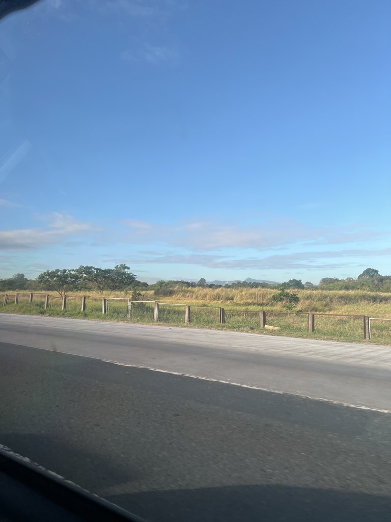 frail ✃ 🧬🧪🐂 tweet media