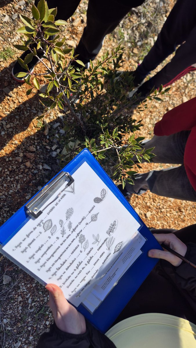 IES Manuel de Falla tweet media