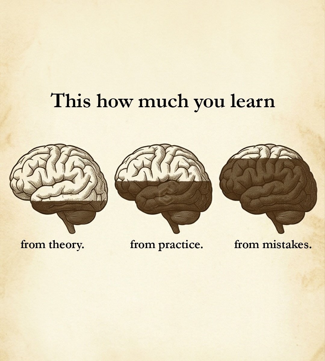 Seek Wiser tweet media