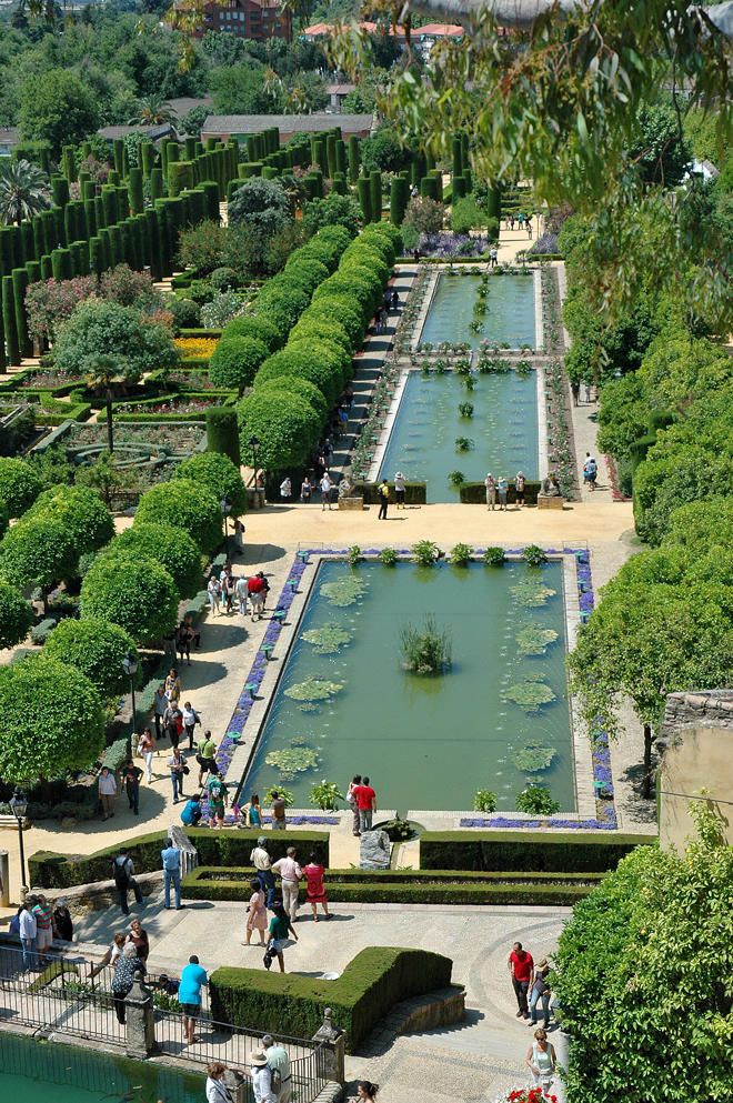 cordoba la bella tweet media