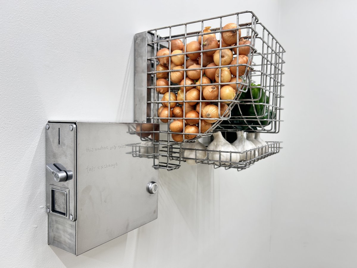 gallery αM tweet media