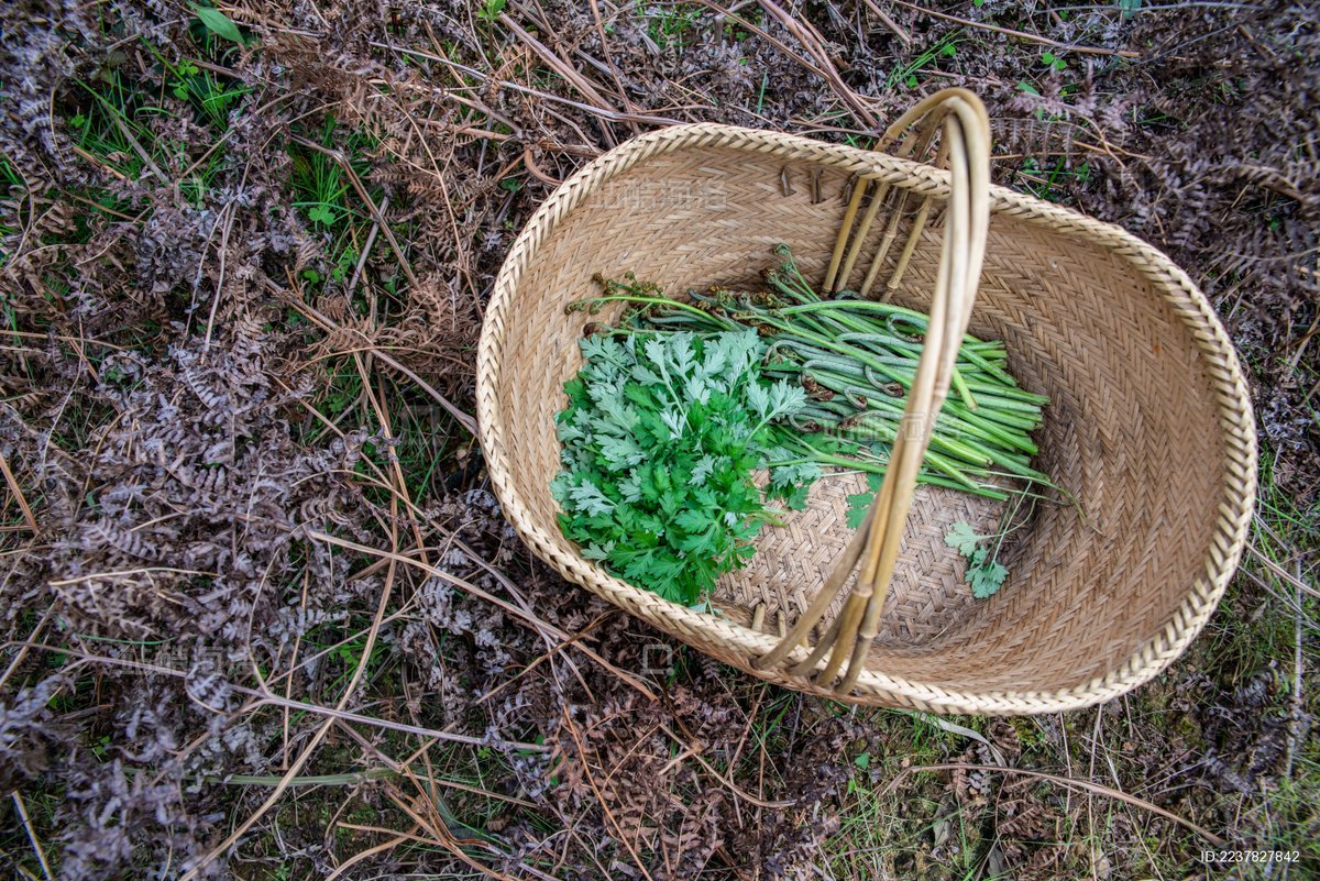 Krystell Chiu tweet media