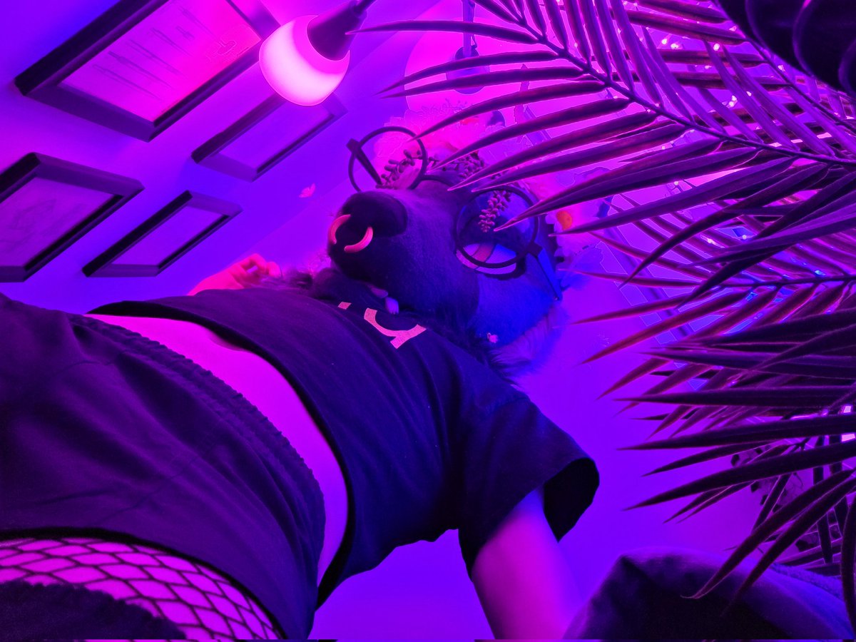 Clyde Foxx tweet media