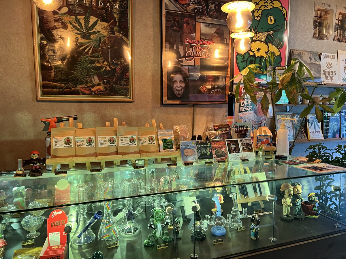 🍀CBD HOUSE🍀 tweet media