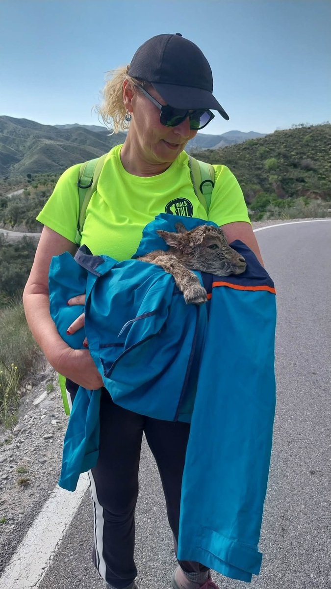WalkTallSpain's tweet photo. Warning : May be triggering

Two weeks. Two lives. Two different tales.
One full of years, habits, and familiar routines, and one that barely had the chance to begin. But both leave something important behind......

https://t.co/fK2RCM9DVo https://t.co/KG7Dc3TV1S