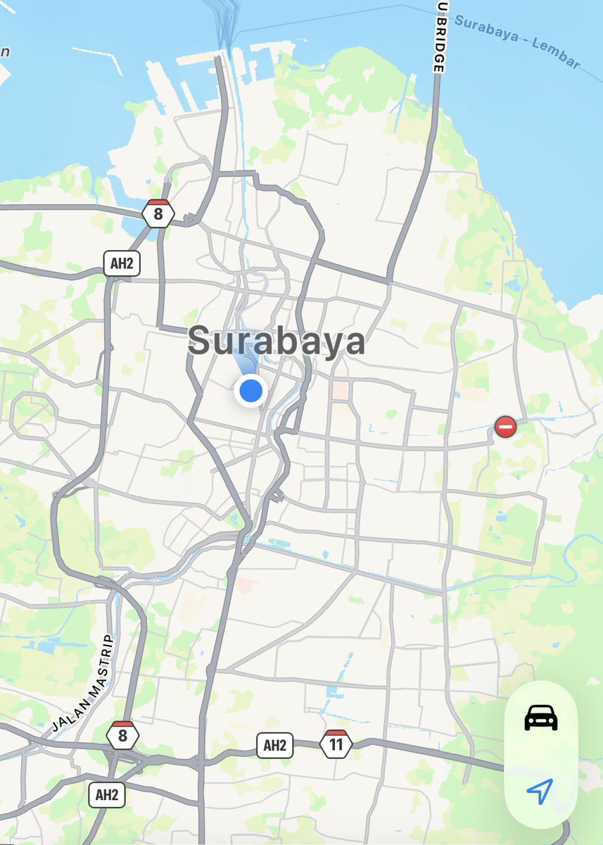 ᭝ ᨳଓ ՟ Stellalalalalaa~🌷 tweet media