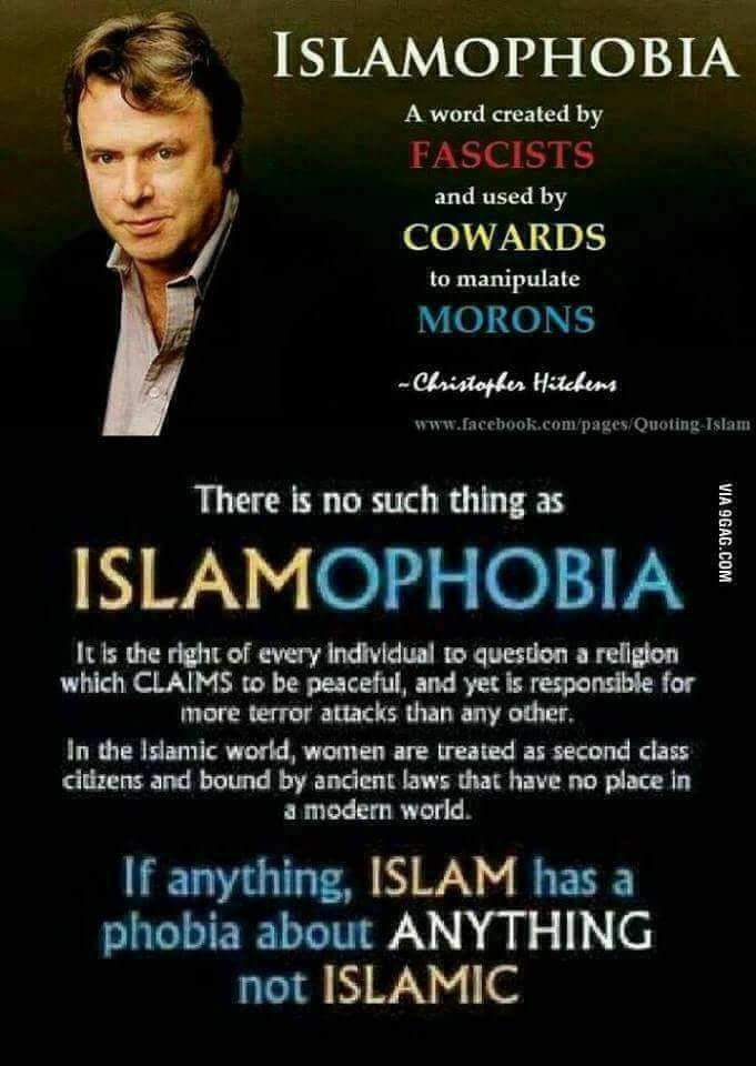 Airvehicle2🇺🇸my opinions. MAGA tweet media