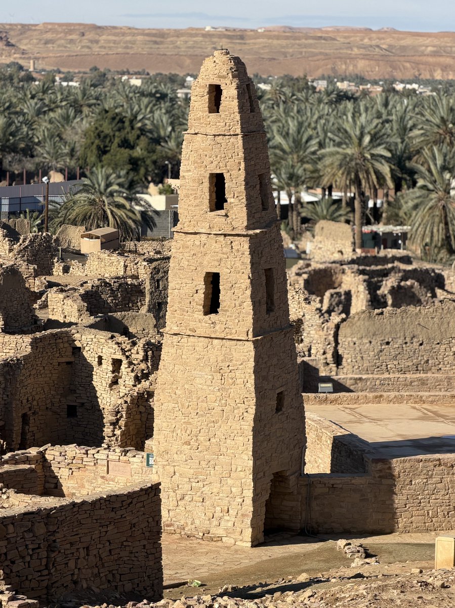 طارق "فوستر عظيم" tweet media