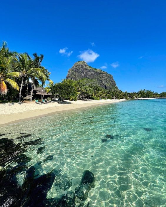 Mauritius Island tweet media