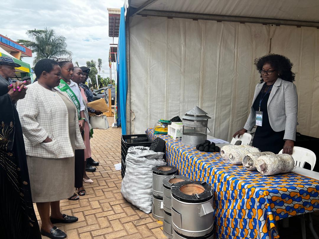 RAISING GABDHO tweet media