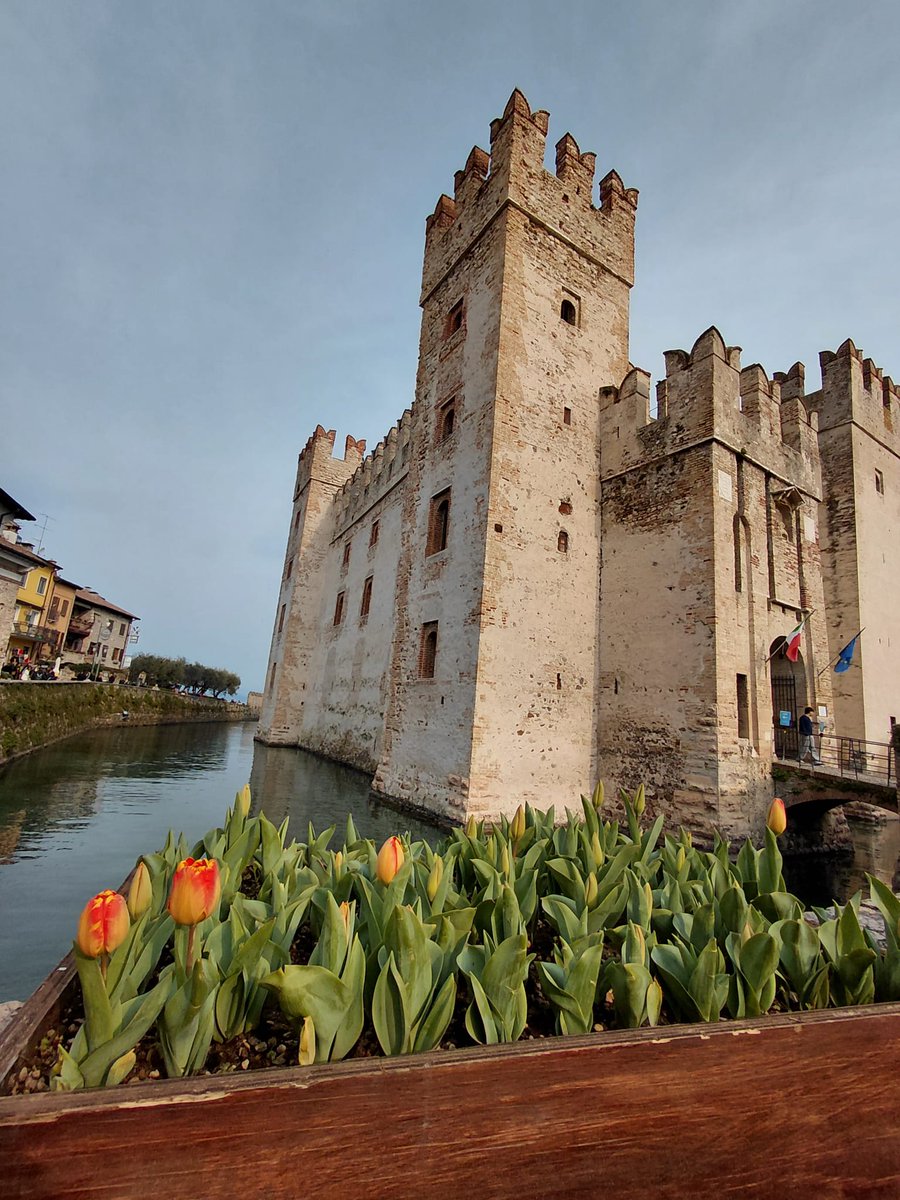 Ins Martí i Franquès tweet media