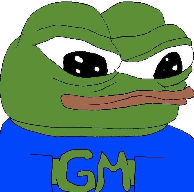 LFGOOO 🐸🌞 tweet media