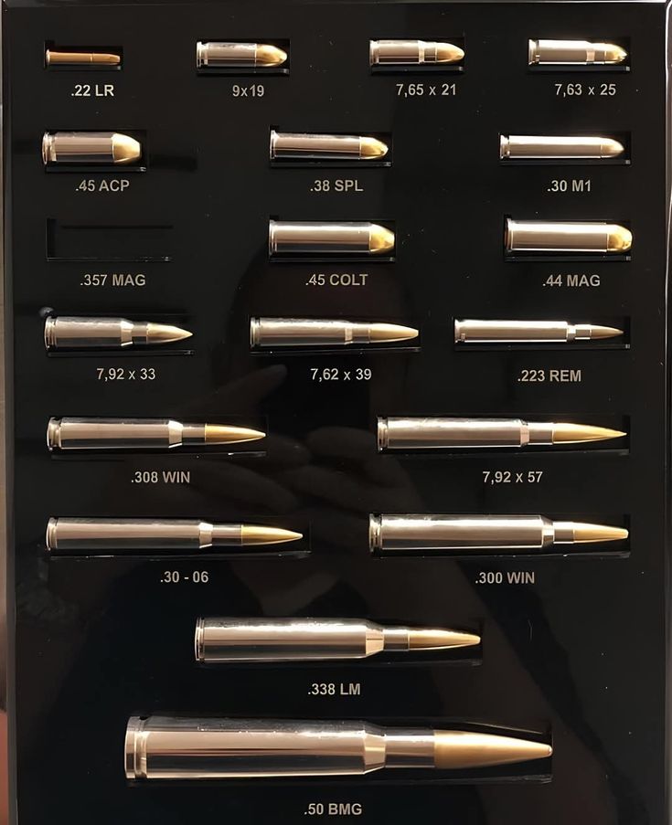 Gun Fanatics tweet media