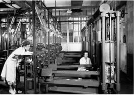 Lily Craven tweet media