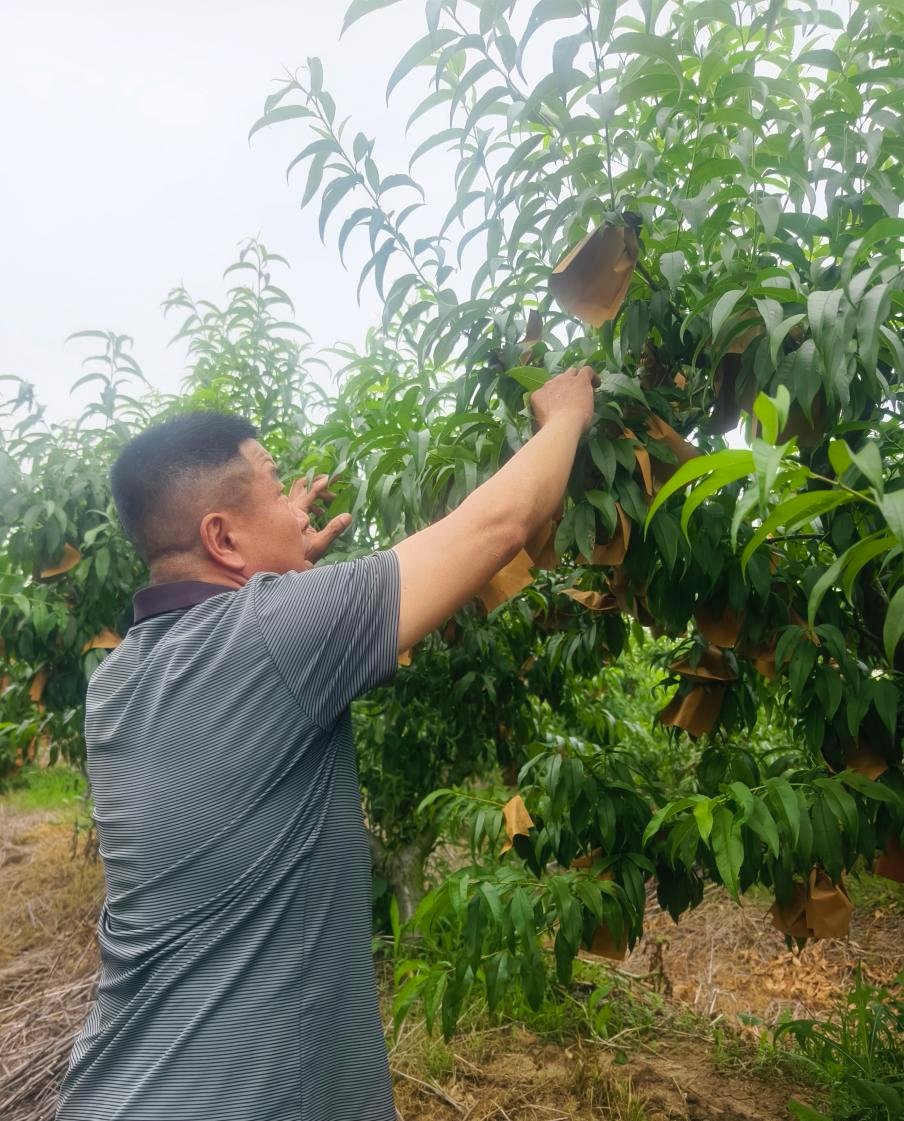 rami_saci tweet media