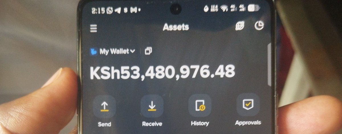 Frank.XBT🔸 tweet media