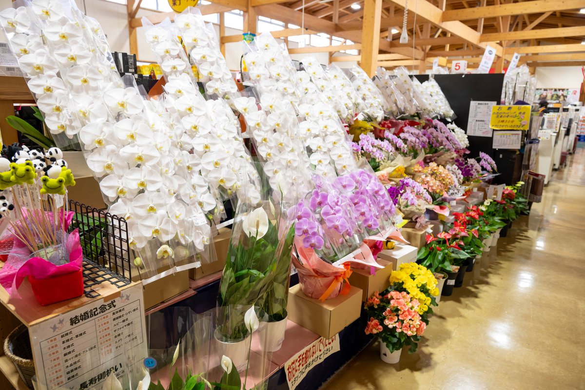 FMK InStyle tweet media