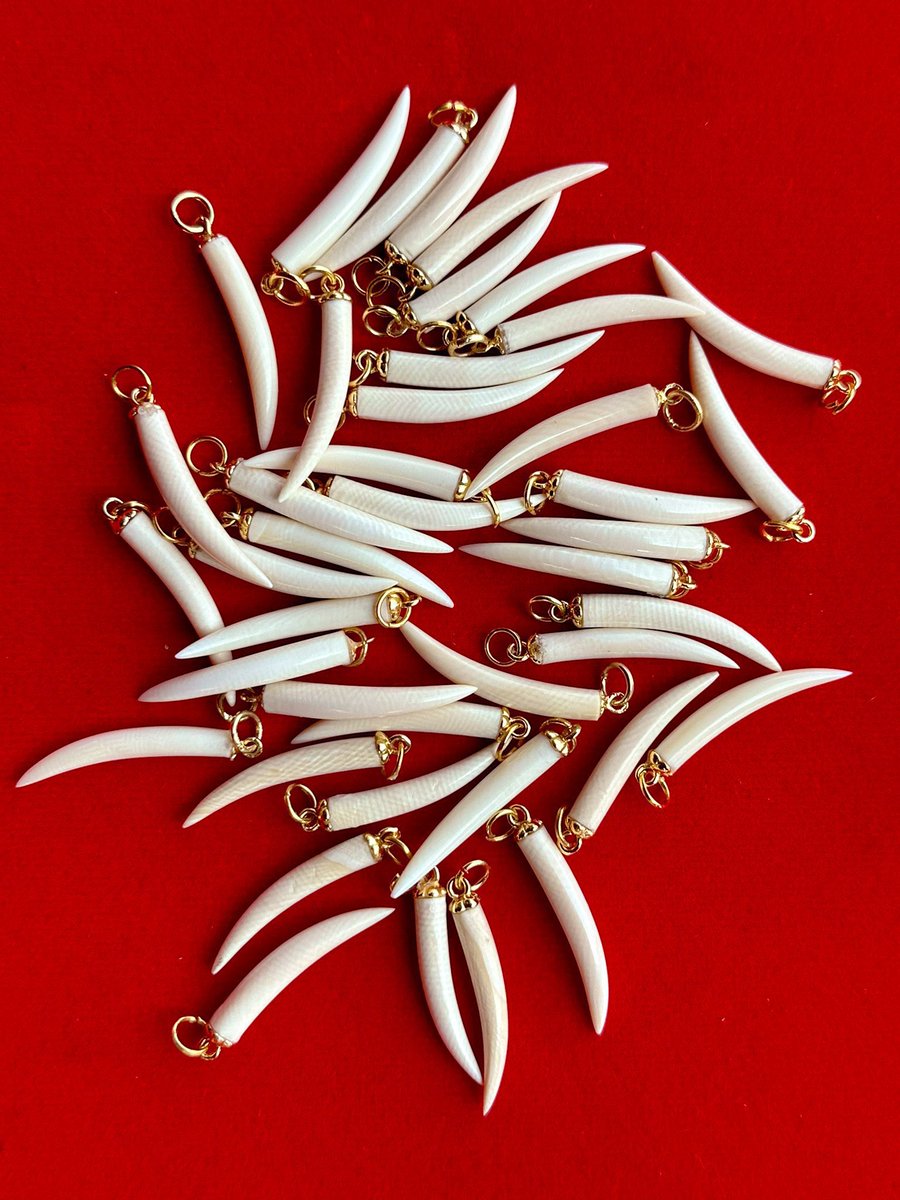 น้องช้างFamily🐘🐘🐘 tweet media