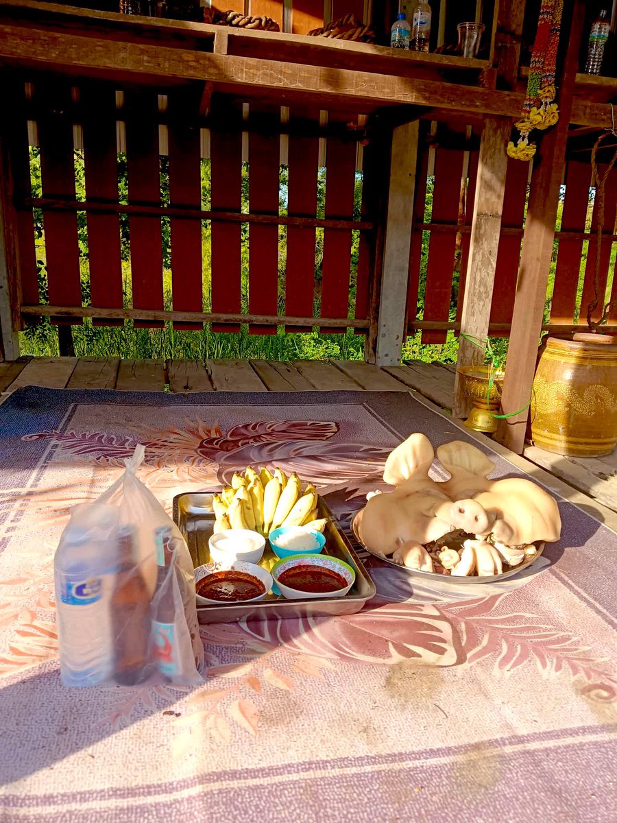 น้องช้างFamily🐘🐘🐘 tweet media