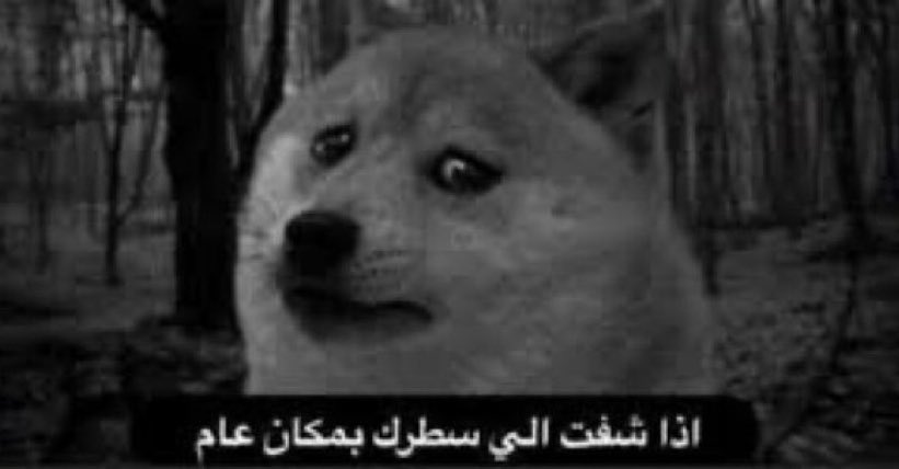 سُعود tweet media