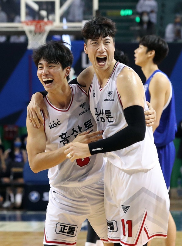 도리 tweet media