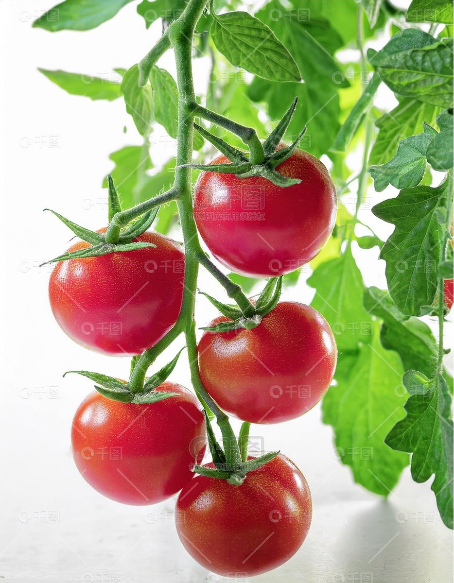 SAYED ADEL SOLIMAN tweet media