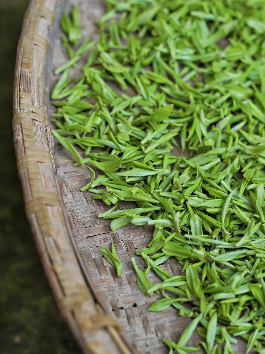 Harper Zhou（互fo互赞） tweet media