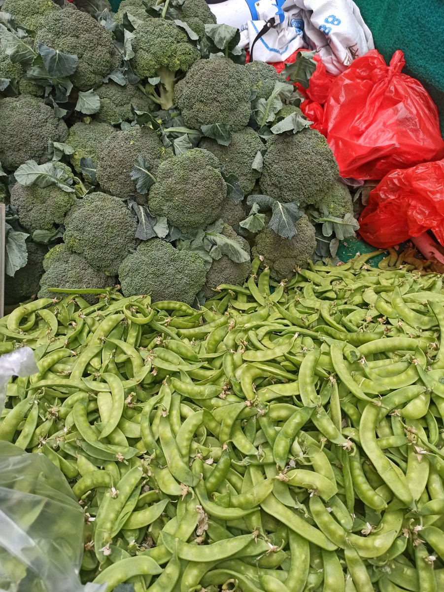 Christine Blais tweet media