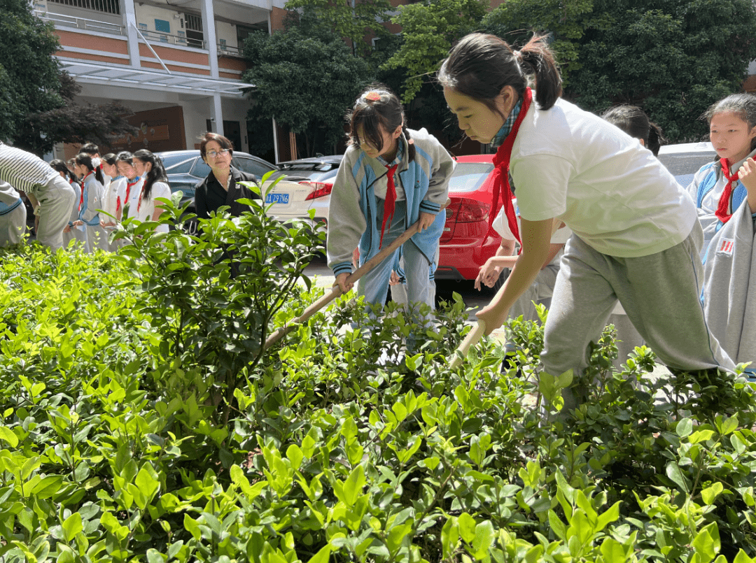 Tony Romano tweet media