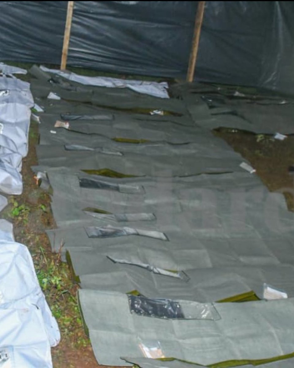 Mr. Dodge A. Bullet tweet media