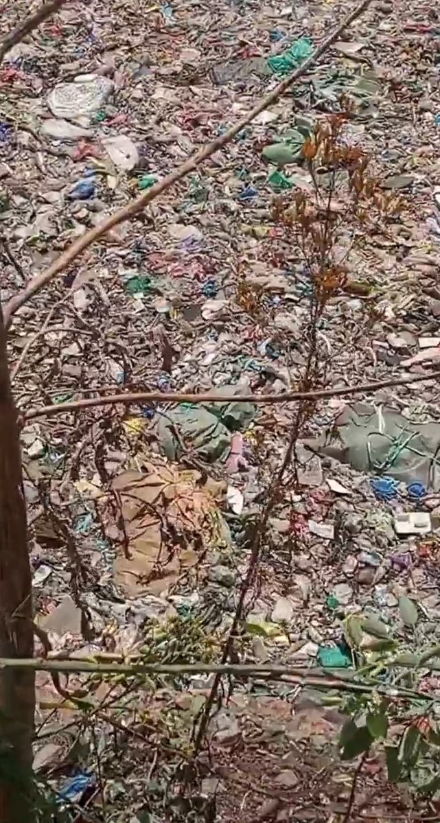 Mr. Dodge A. Bullet tweet media