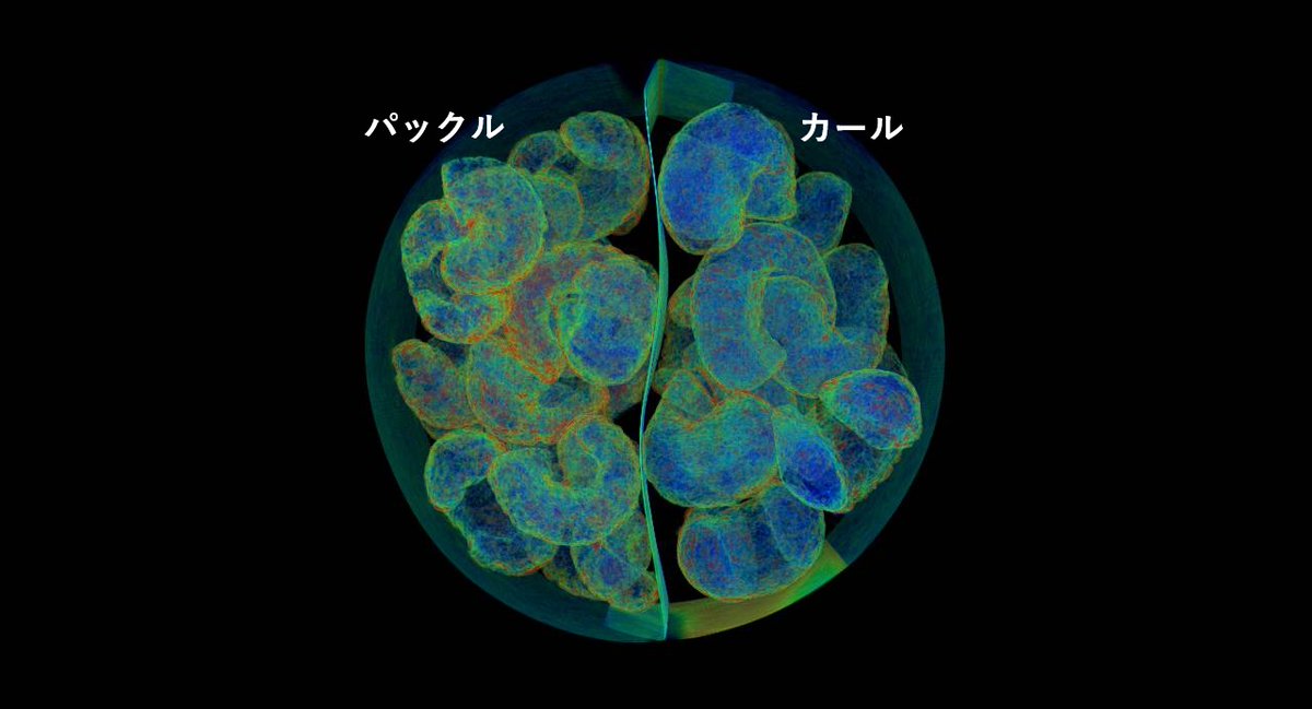 有限会社ホワイトラビット tweet media