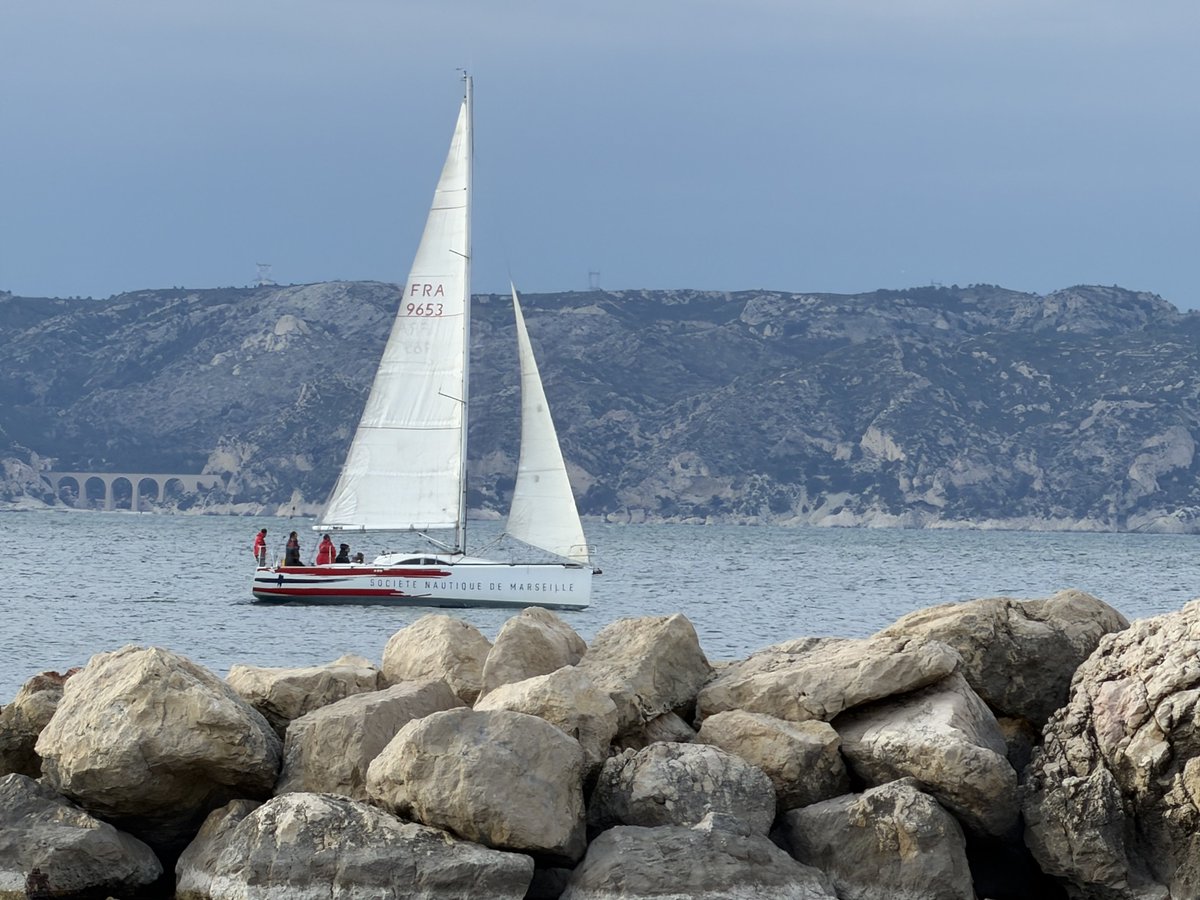 Doc Olympico tweet media