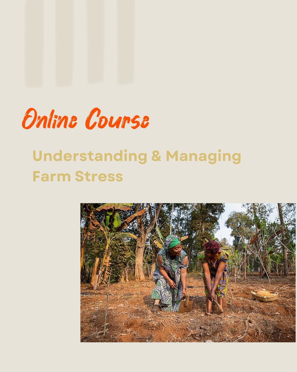 The ECLT Foundation tweet media