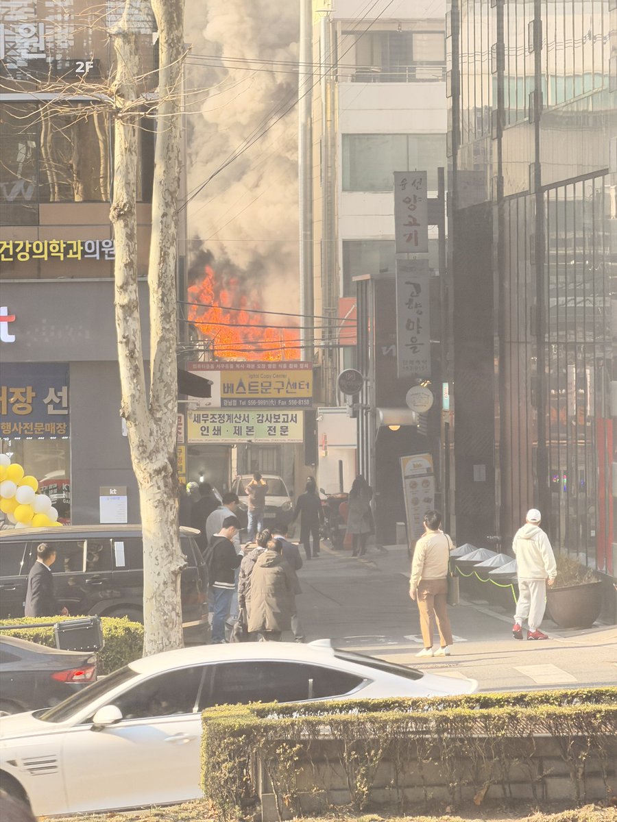 김치독🩸 tweet media