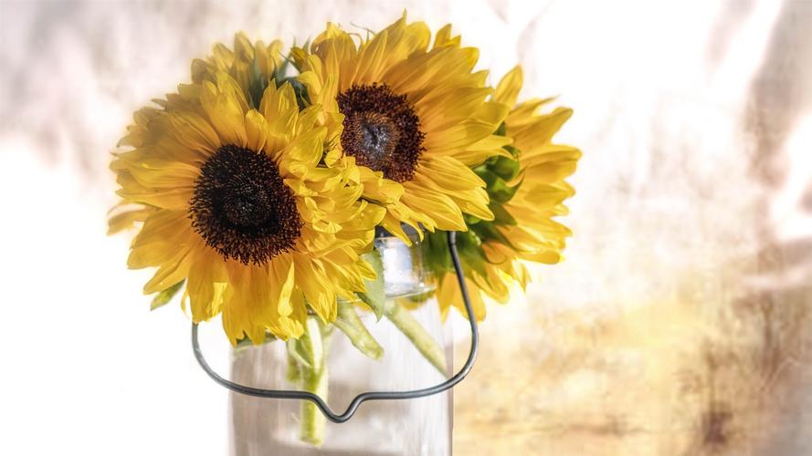 Vivek Mordekar tweet media