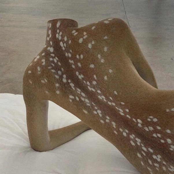 αngel ໒꒱ tweet media