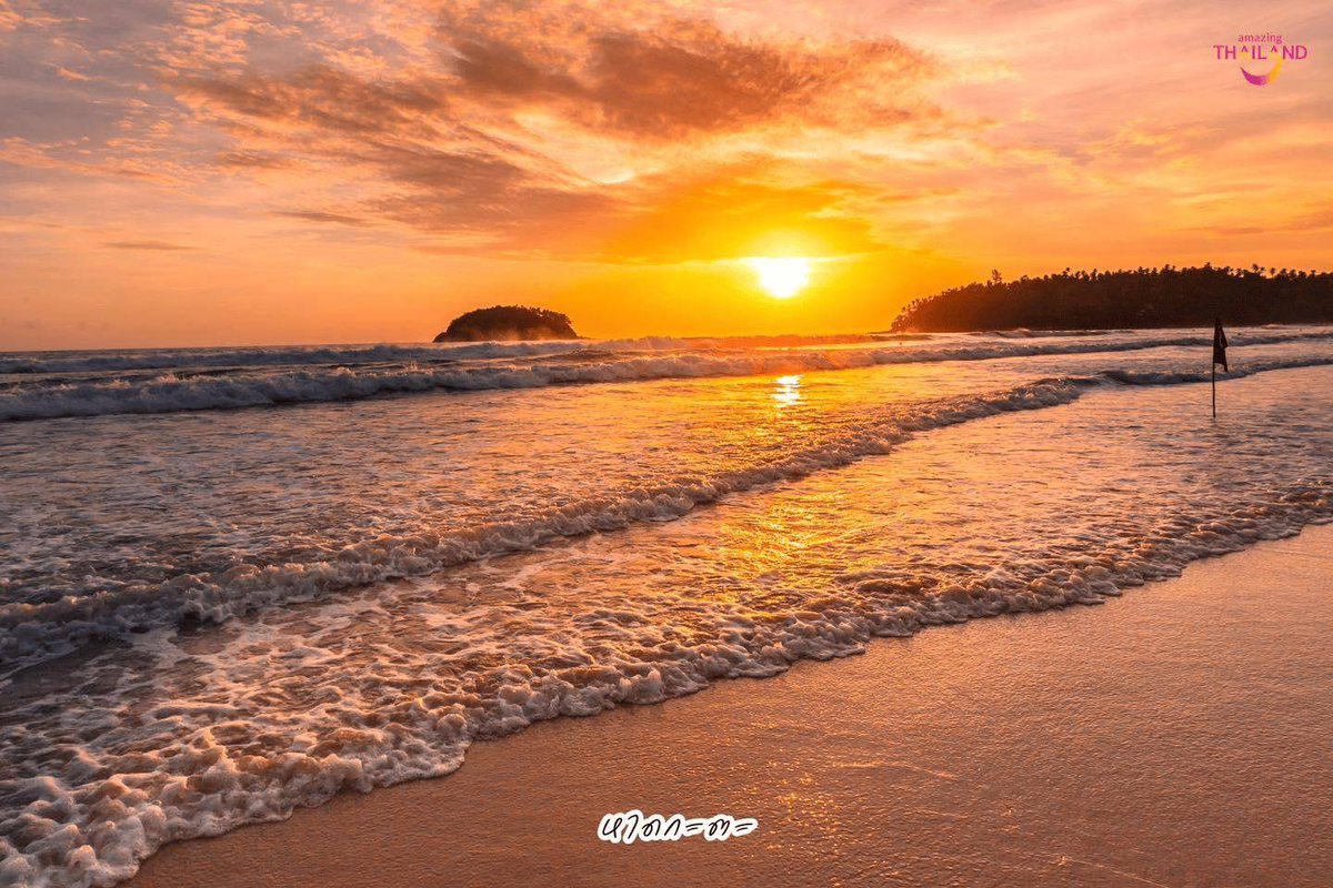 mvp gift co.,ltd tweet media