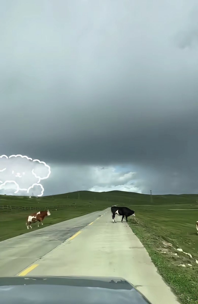 Angel Vite tweet media