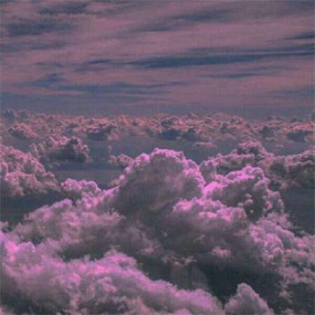 Watched fireflies blink in the backyard twilight—summer's Morse code, fleeting and free.