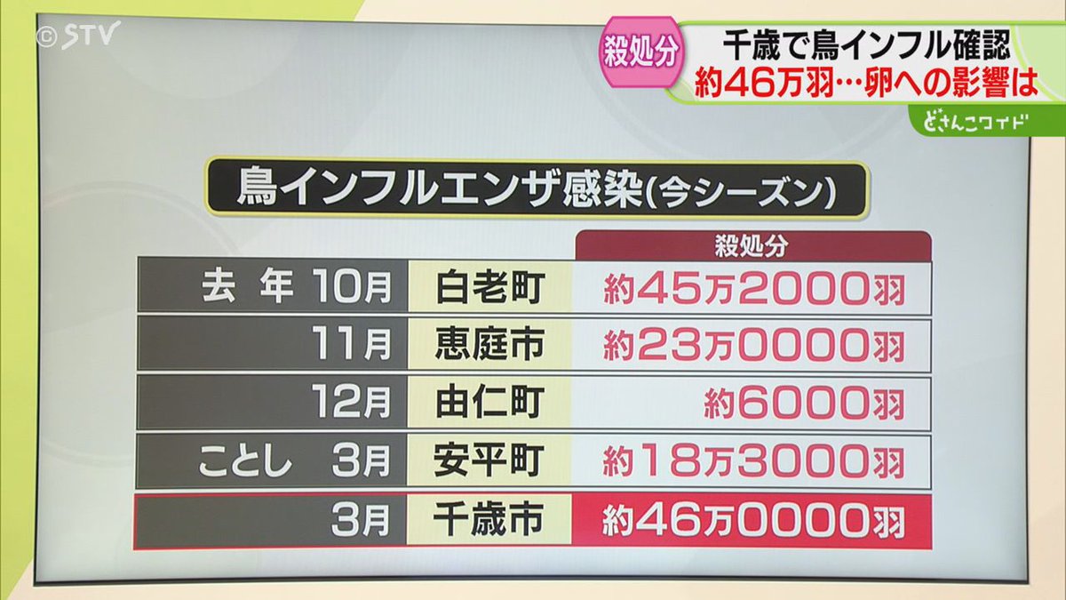 STVニュース北海道 tweet media