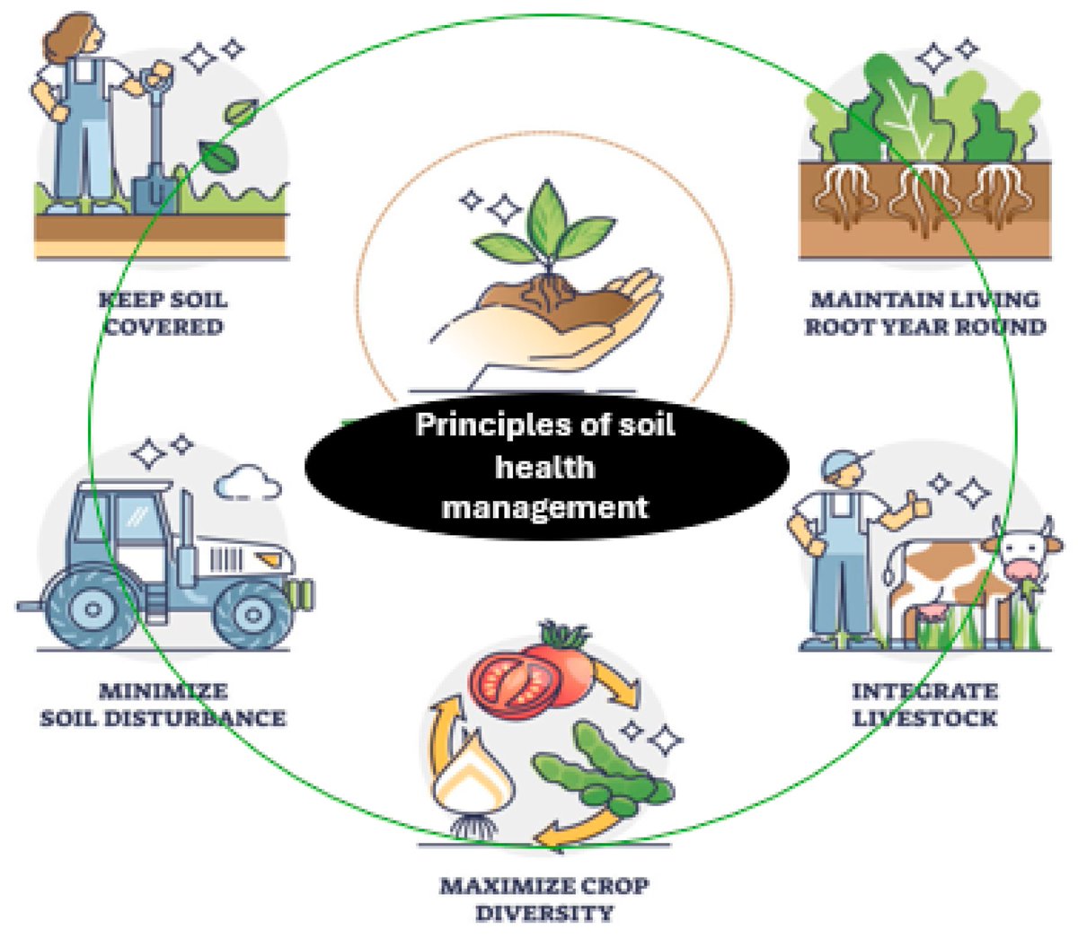 AgricultureMdpi's tweet image. 🎊#HighlyCitedPaper in #Agriculture

🌱Farming Practice Variability and Its Implications for #Soil Health in Agriculture: A Review
by Elsadig Omer et al.

📖Link: doi.org/10.3390/agricu…
#farmingpractices #conservationagriculture #notill #yield #soilphysica #chemical #biological