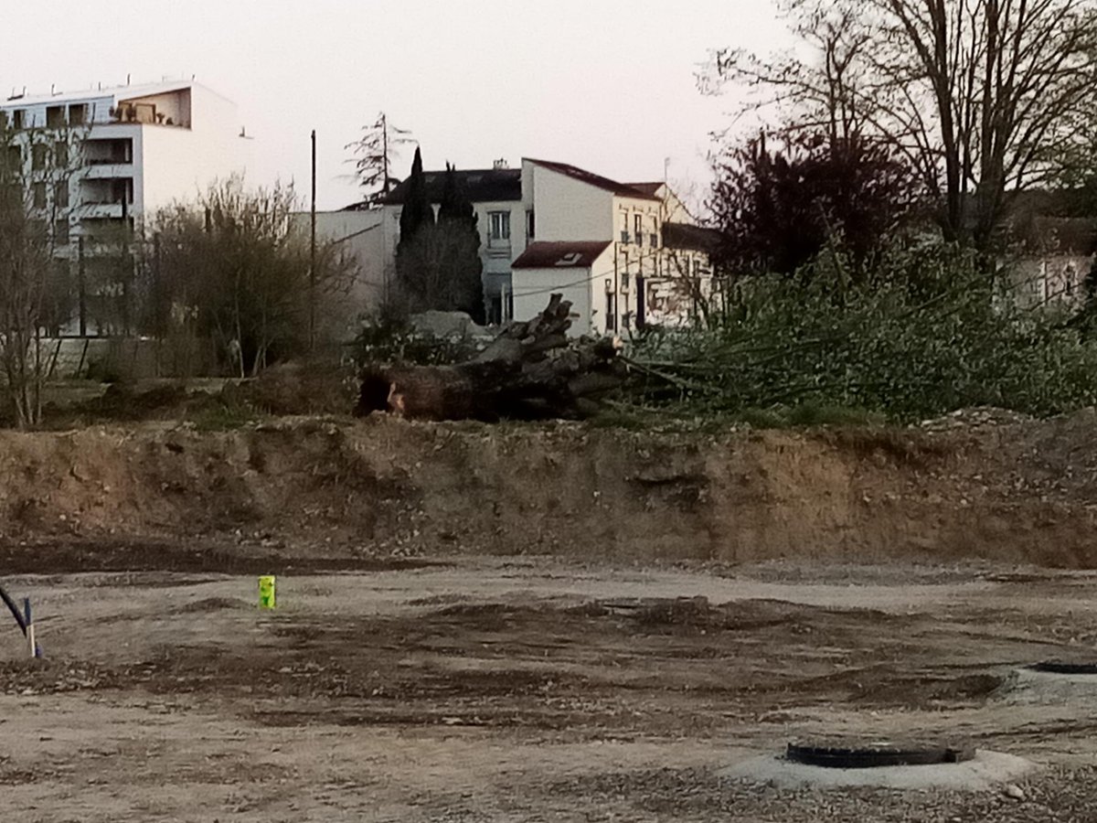 Alice Elvan Çelik tweet media