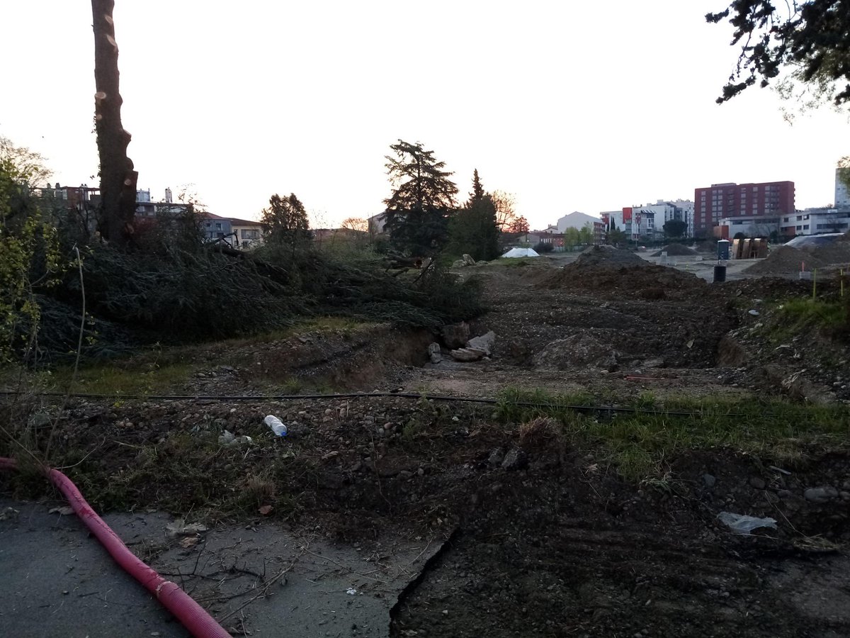 Alice Elvan Çelik tweet media