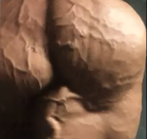 robert06231963 tweet media