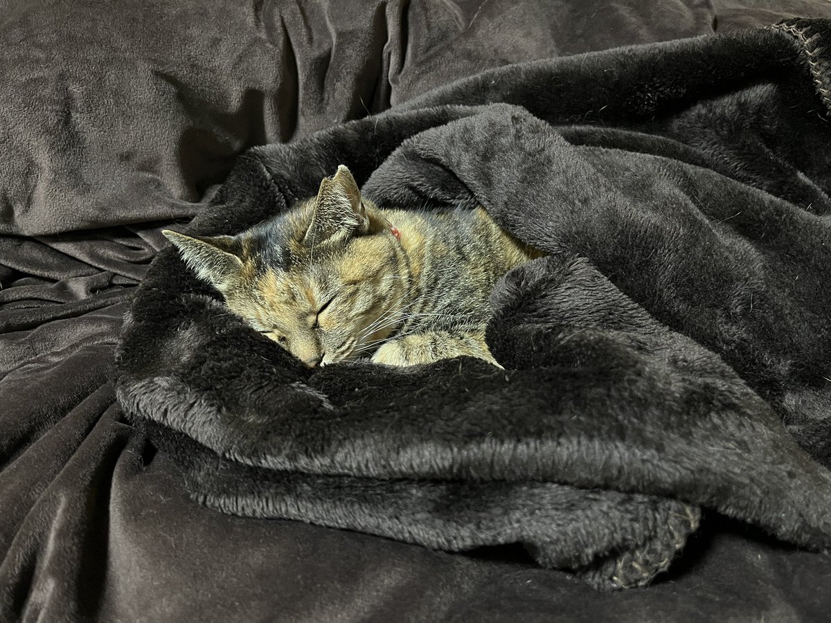 おたむ tweet media