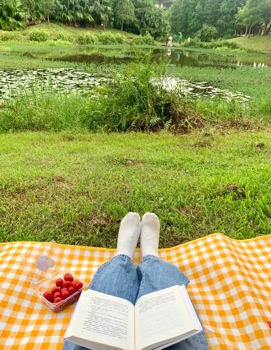 SothinkFreeware tweet media