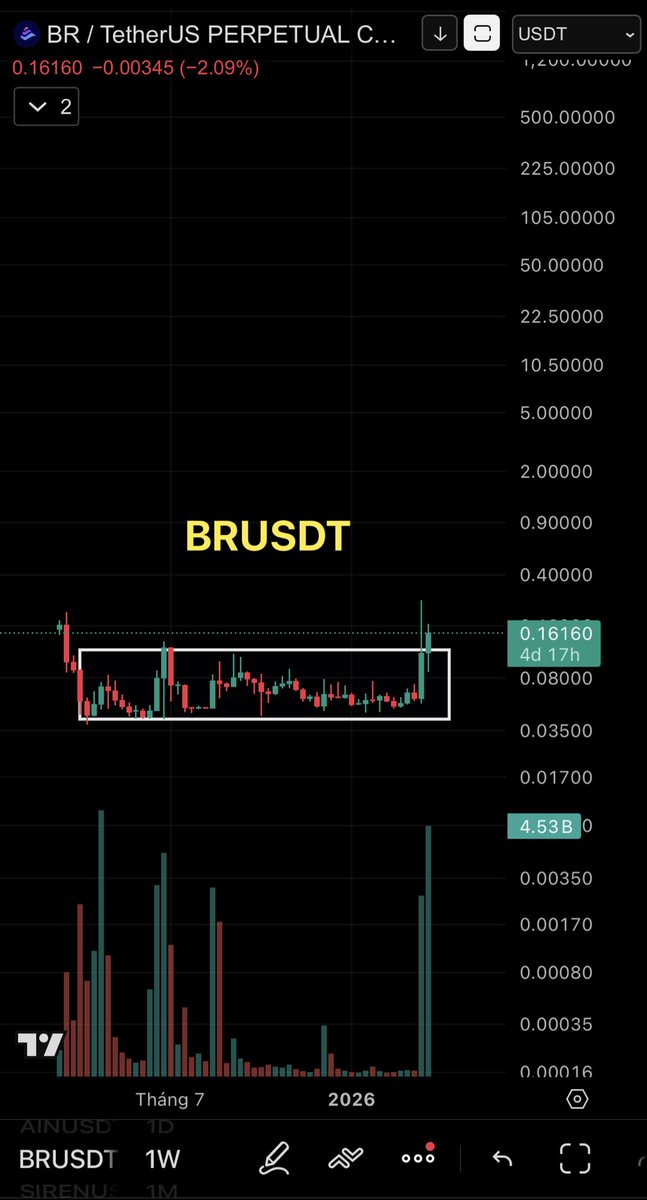 ShinZhao tweet media